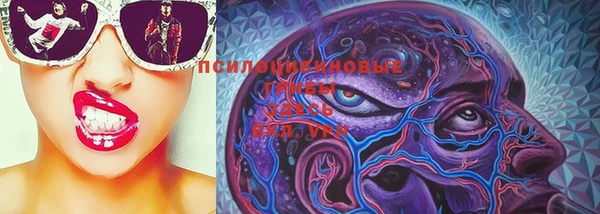 PSILOCYBIN Фурманов
