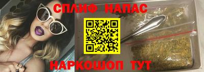 jwh Гатчина