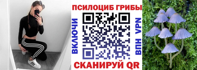 Галлюциногенные грибы прущие грибы  Электрогорск 
