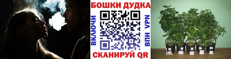 МАРИХУАНА планчик  Электрогорск 